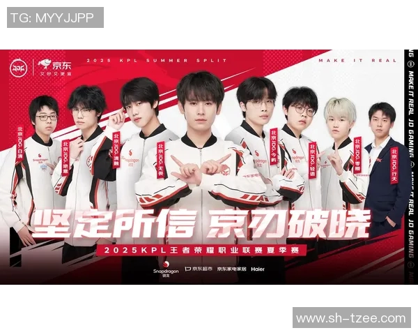 深度剖析：JDG战队选手个人能力全方位对比分析